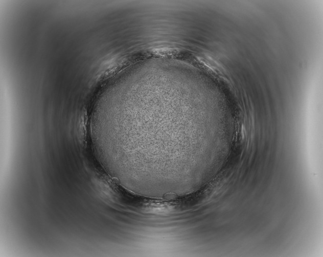 X0000086970702200704301258