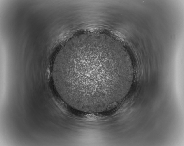 X0000086970703200704301258