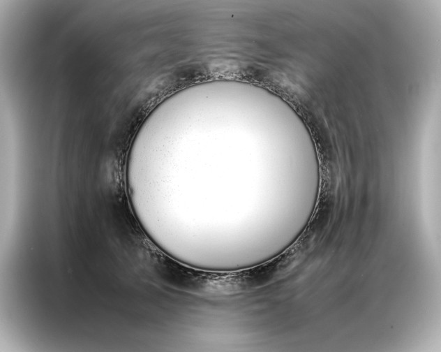 X0000086970705200704301258