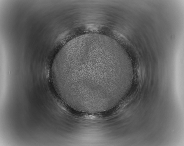 X0000086970706200704301258