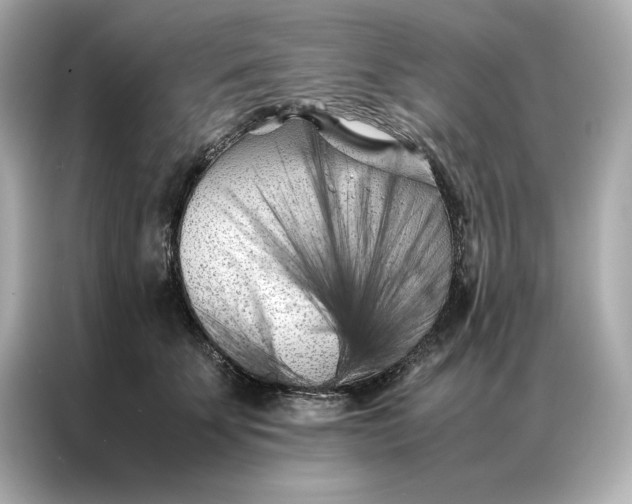 X0000086970707200704301258