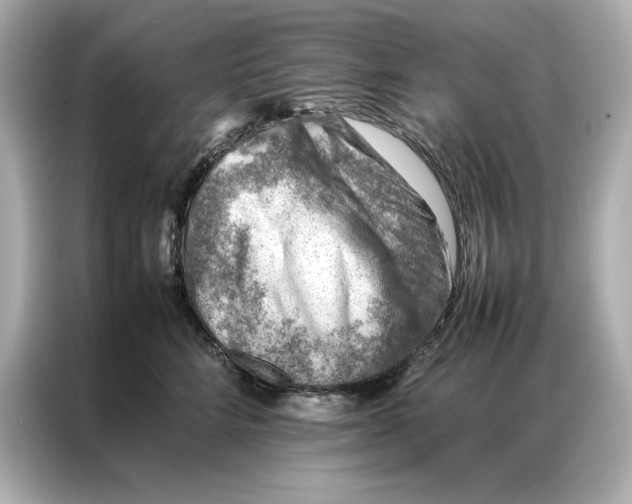 X0000086970712200704301257