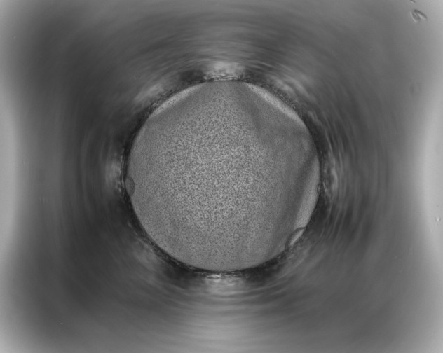 X0000086970714200704301257