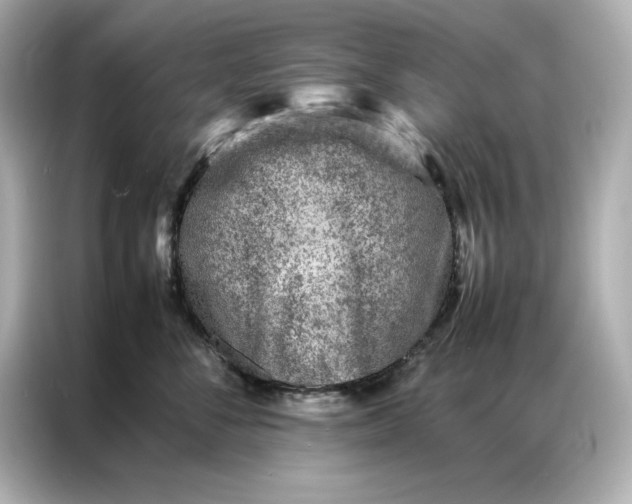 X0000086970716200704301257