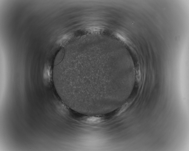 X0000086970718200704301257