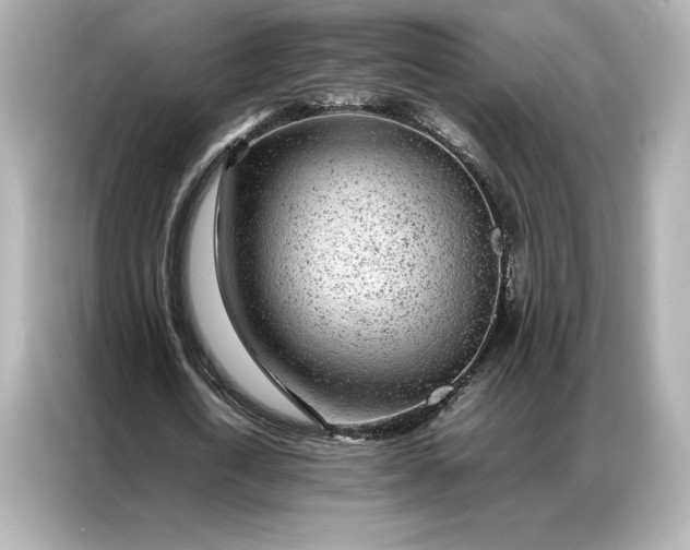 X0000086970722200704301257