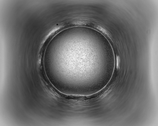 X0000086970723200704301257