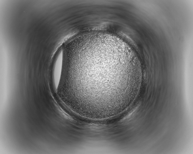 X0000086970725200704301257