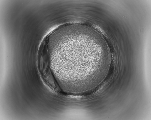 X0000086970726200704301257