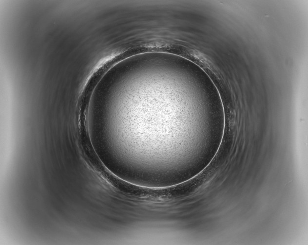 X0000086970727200704301257