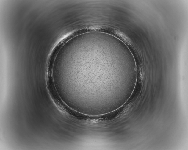 X0000086970728200704301257