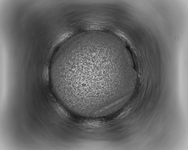 X0000086970729200704301257