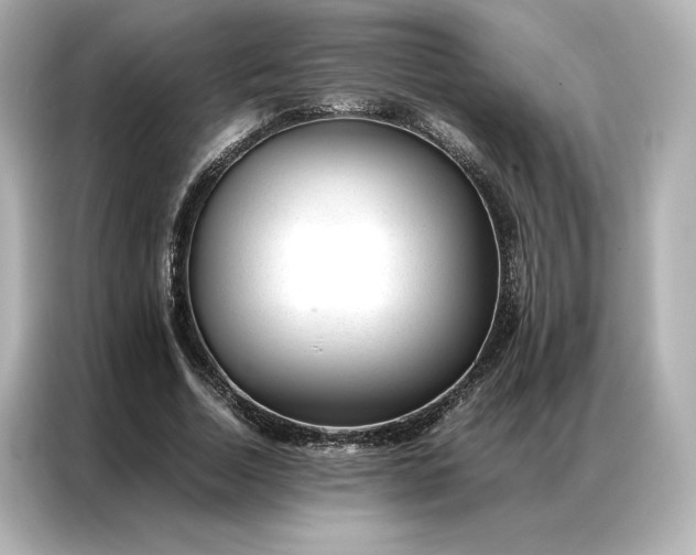 X0000086970730200704301257