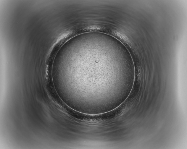 X0000086970731200704301257