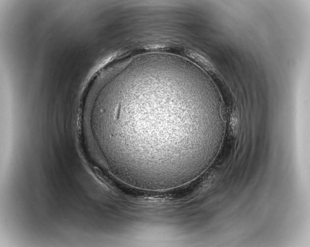 X0000086970732200704301257