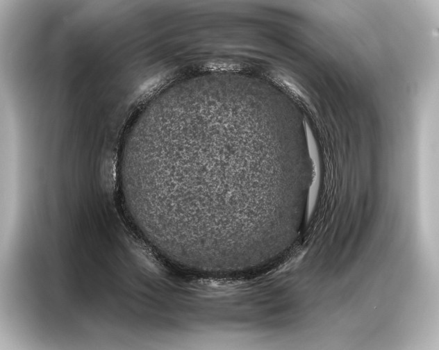 X0000086970733200704301257