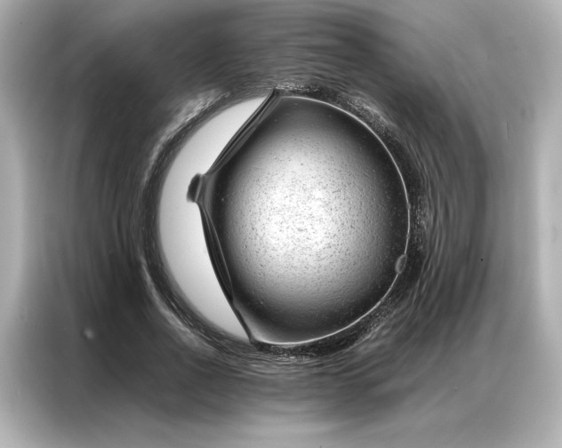 X0000086970734200704301257