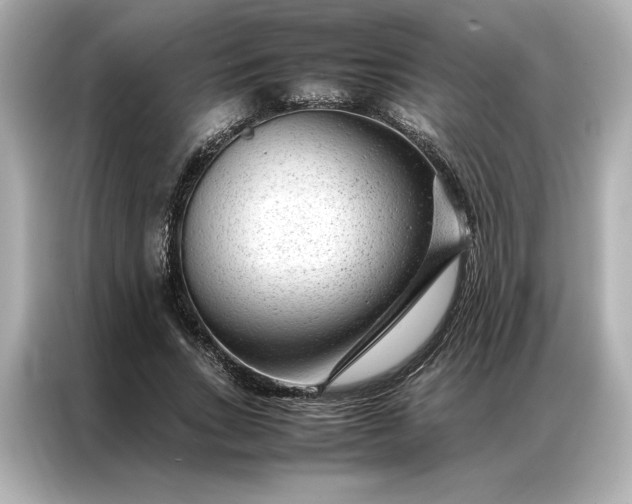 X0000086970735200704301257