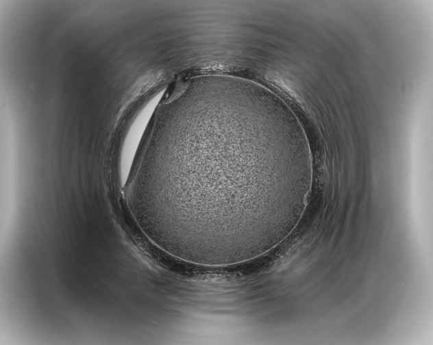 X0000086970738200704301257