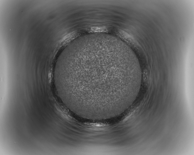 X0000086970741200704301257