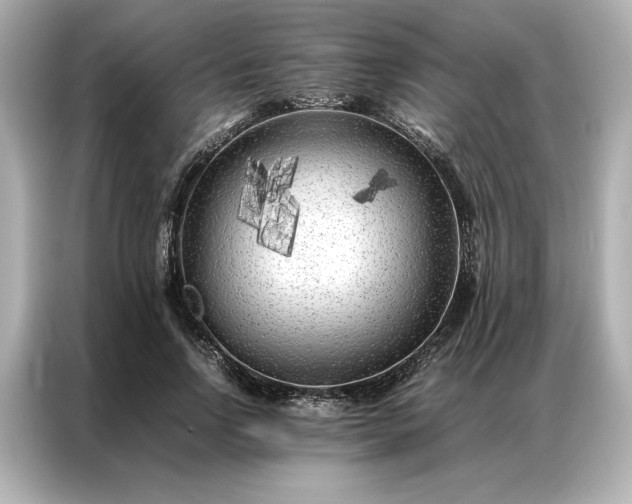 X0000086970742200704301257