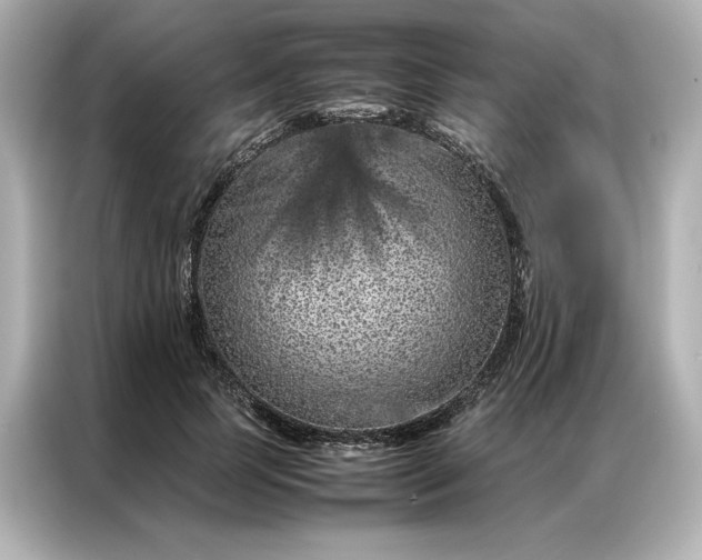 X0000086970745200704301257