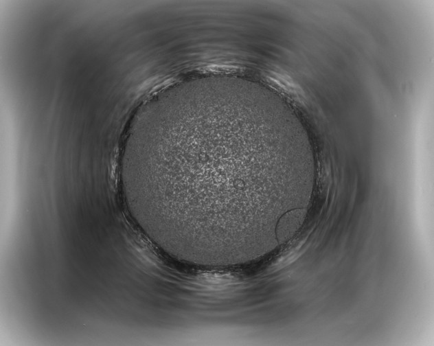 X0000086970749200704301257