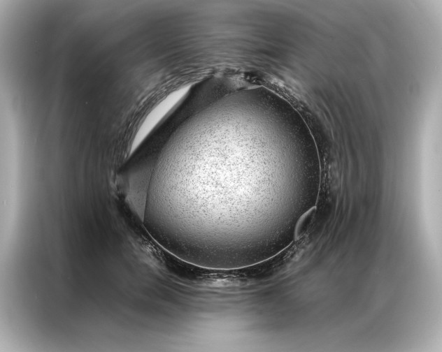 X0000086970750200704301257