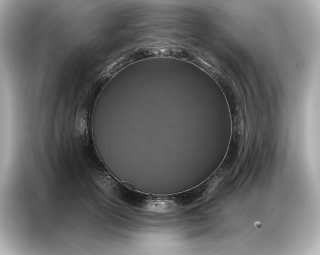 X0000086970754200704301257