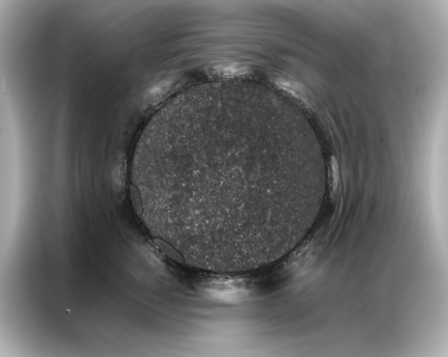 X0000086970760200704301257