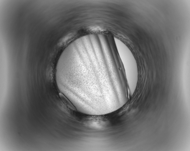 X0000086970762200704301257