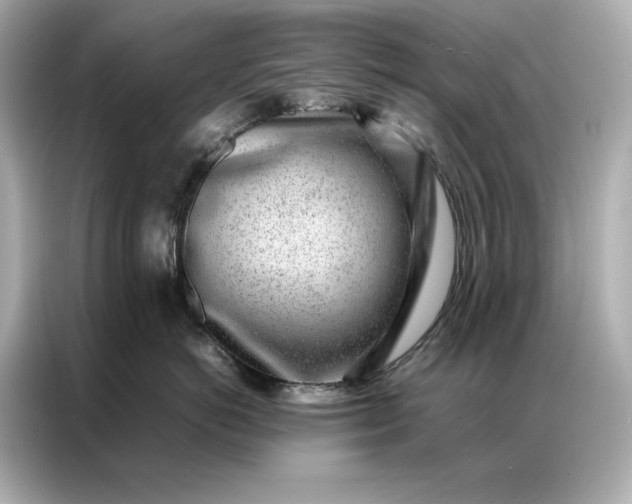 X0000086970766200704301257