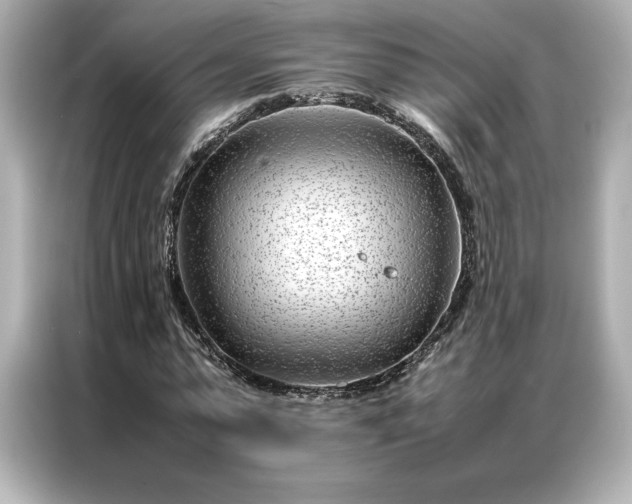 X0000086970775200704301257