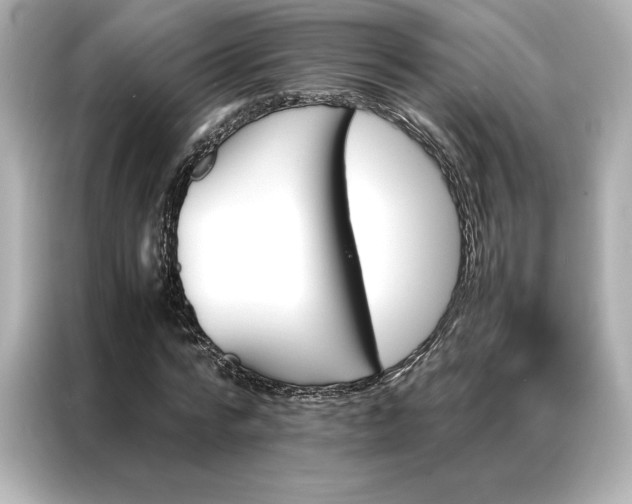 X0000086970776200704301257