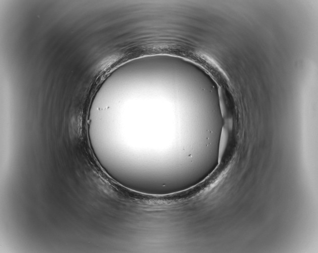 X0000086970777200704301257