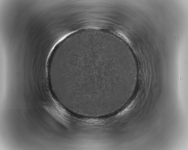 X0000086970779200704301257