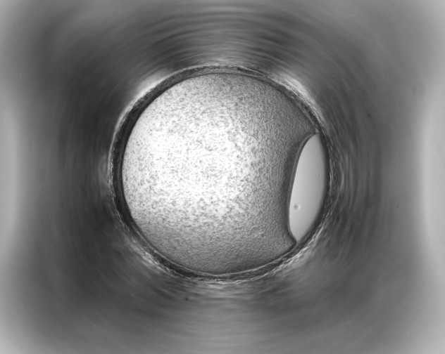 X0000086970780200704301257