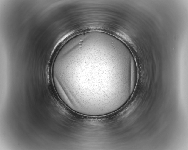 X0000086970782200704301257