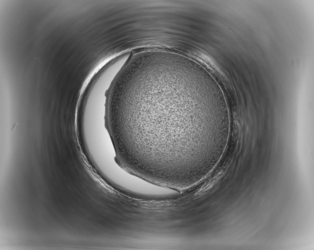 X0000086970788200704301256