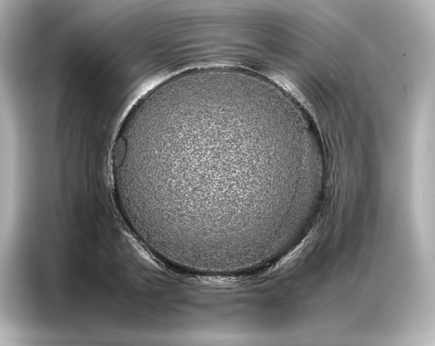 X0000086970789200704301256