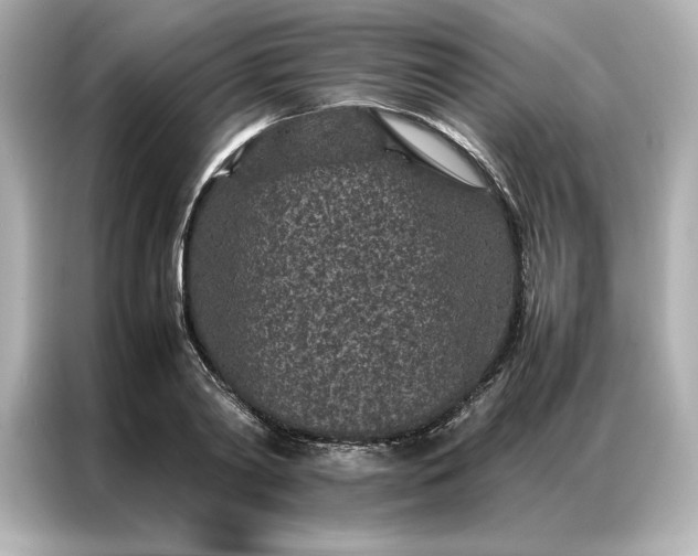 X0000086970790200704301256