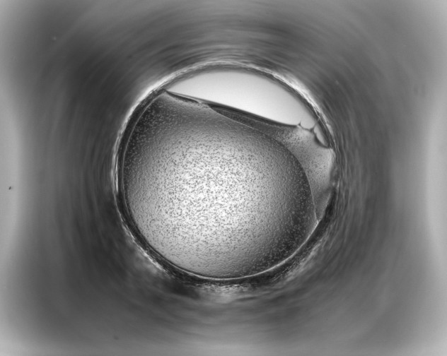 X0000086970791200704301256