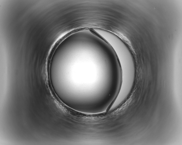 X0000086970792200704301256