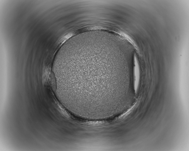 X0000086970793200704301256