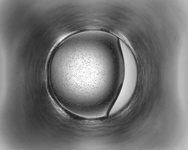 X0000086970795200704301256