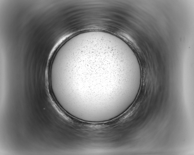 X0000086970796200704301256