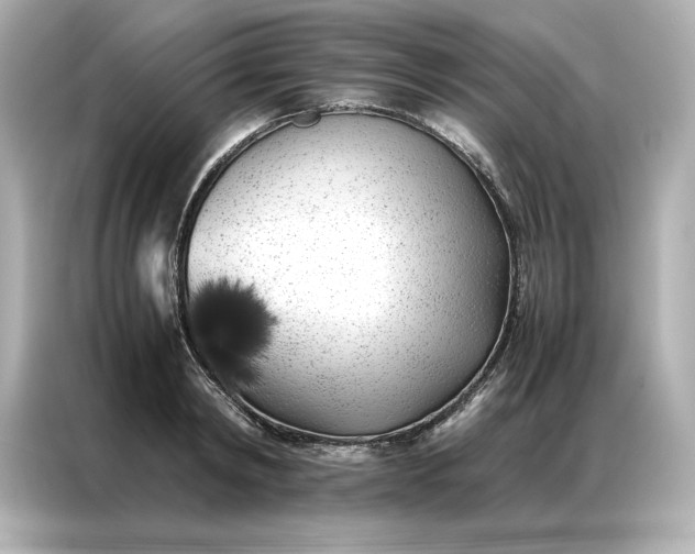 X0000086970798200704301256