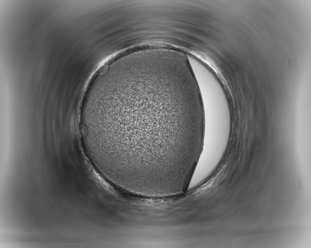 X0000086970799200704301256