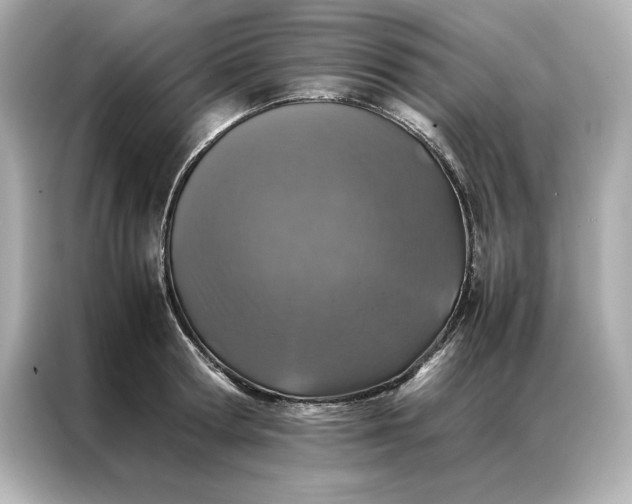 X0000086970802200704301256