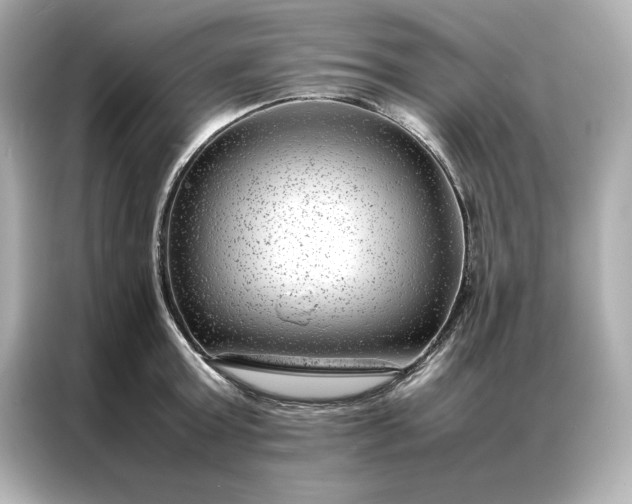 X0000086970803200704301256